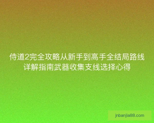 侍道2完全攻略从新手到高手全结局路线详解指南武器收集支线选择心得 侍道2完全攻略从新手到高手全结局路线详解指南武器收集支线选择心得